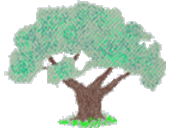 Logo Gästehaus Gutfrucht